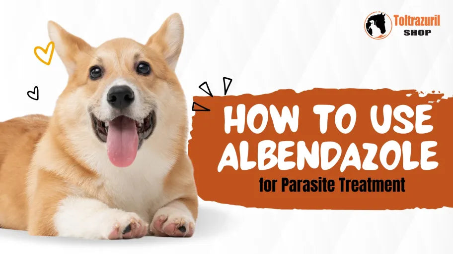 How to Use Albendazole for Parasite Treatment