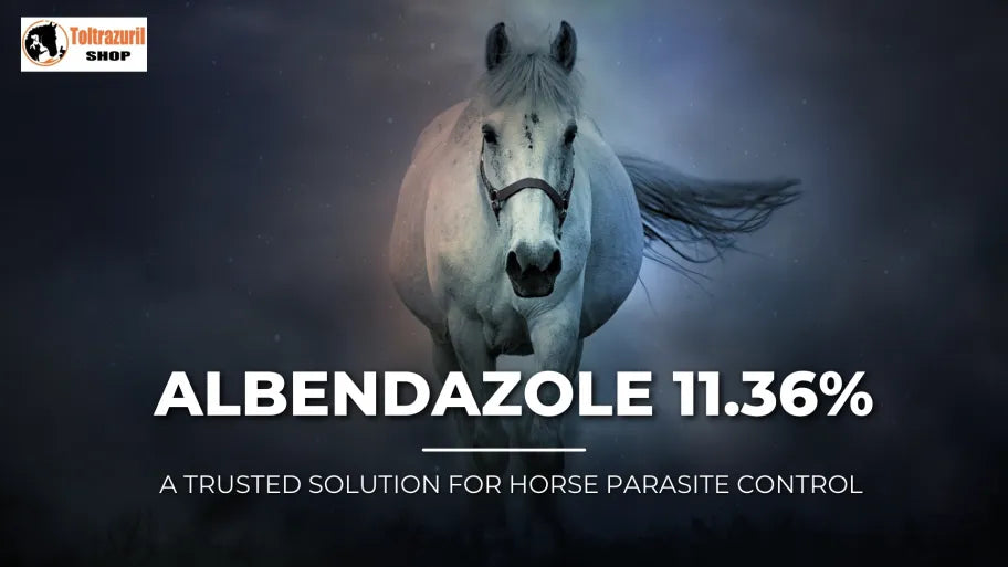 Albendazole 11.36%: A Trusted Solution for Horse Parasite Control