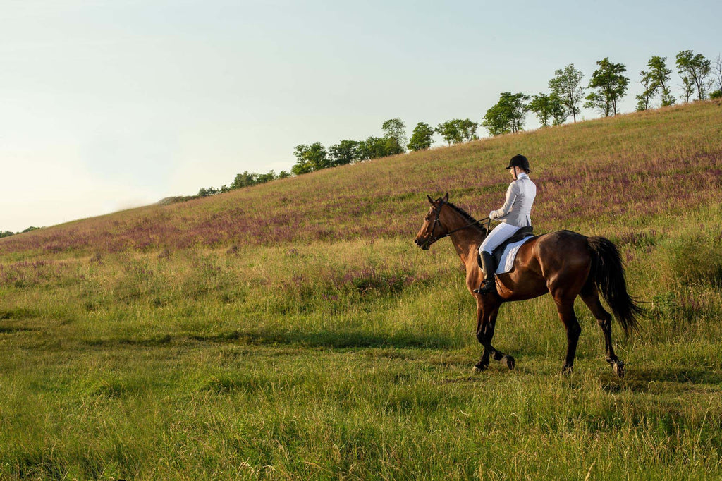Horseback Riding in Challenging Weather: A Comprehensive Guide