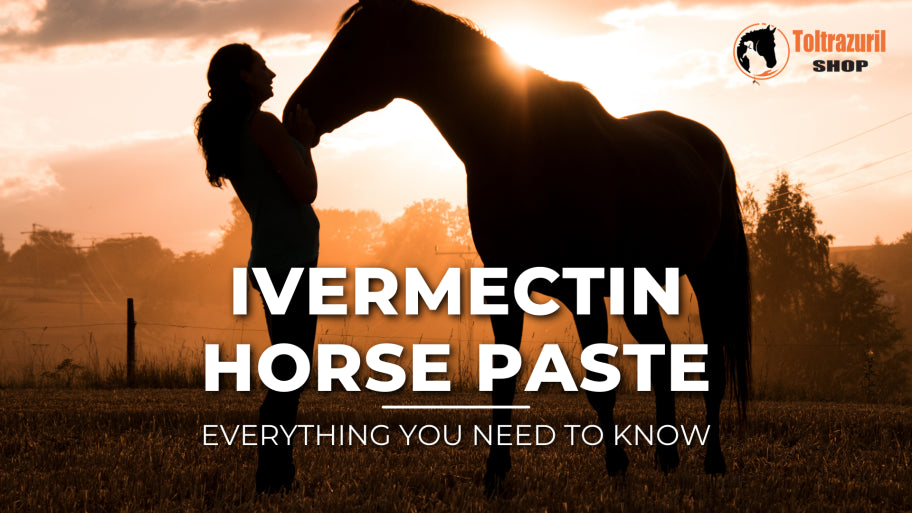 Everything You Need to Know About Ivermectin Horse Paste