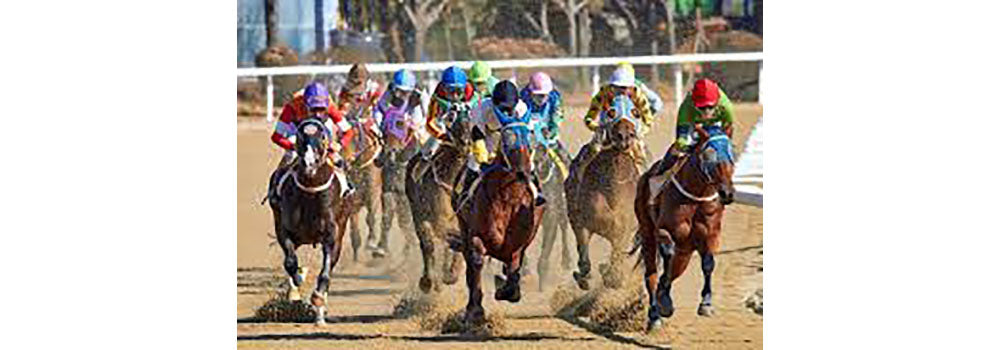 horse racing epm - use toltrazuril