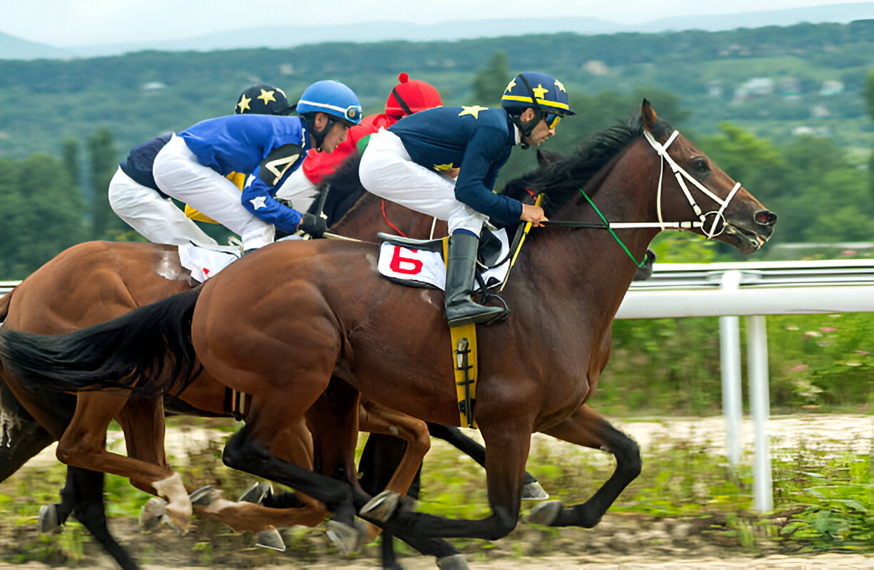 Boost Racehorse Health with Toltrazuril: Great Results Await