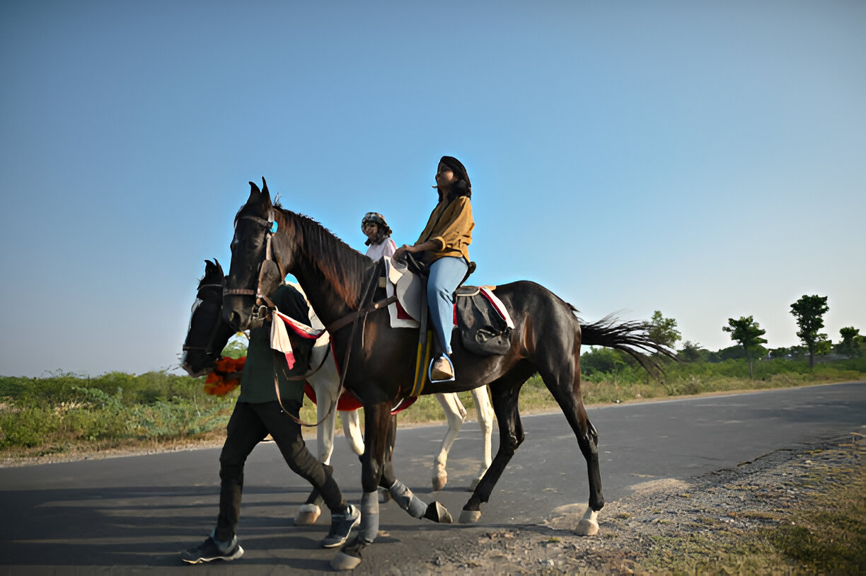 EPM Management in Horses: Effective Ancillary Approaches
