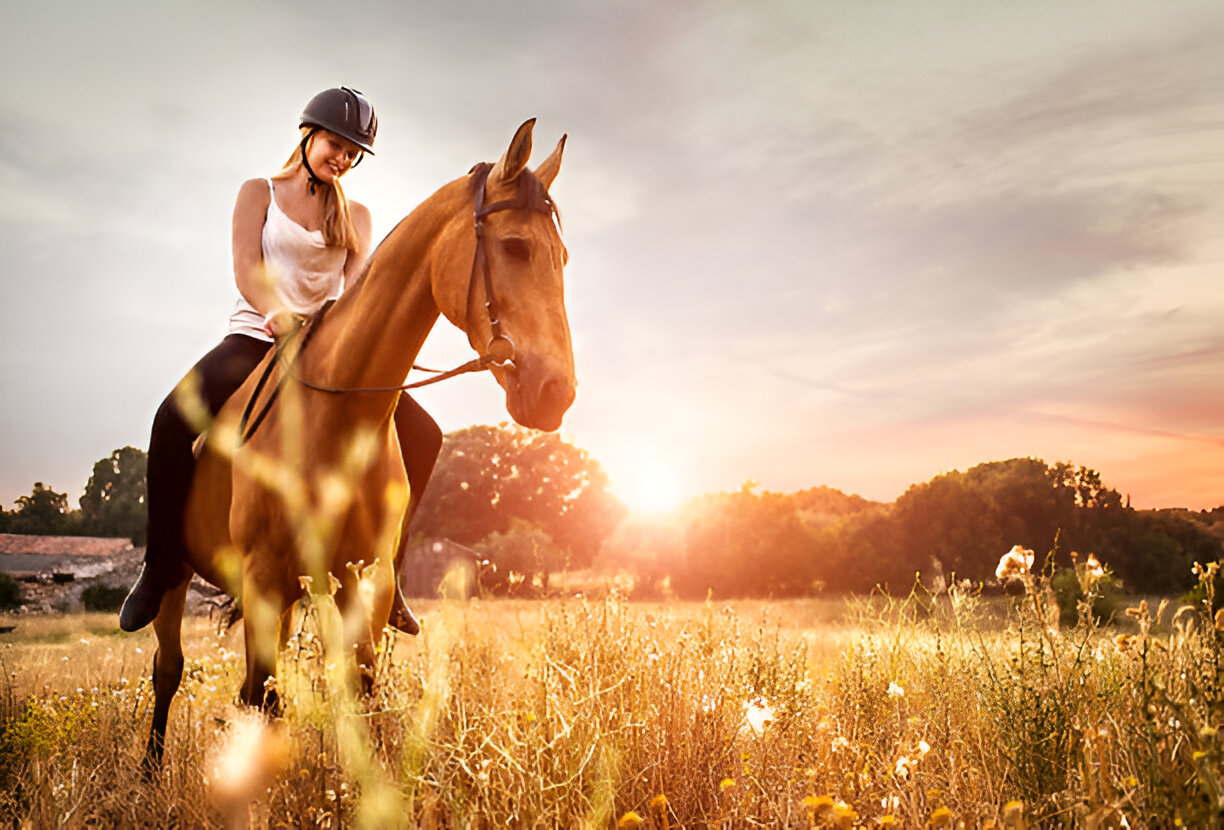 The Importance of Toltrazuril for Equine Health