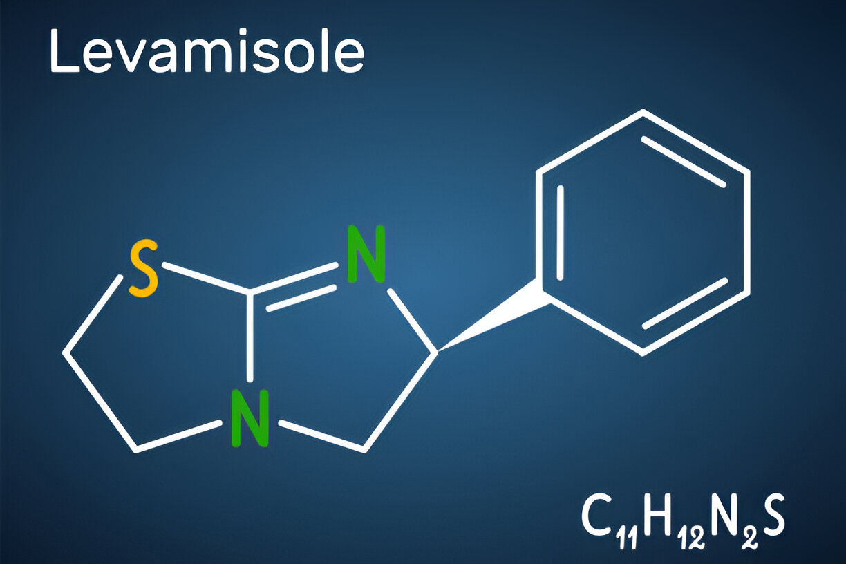 Levamisole: A Potent Immunostimulant for Animals