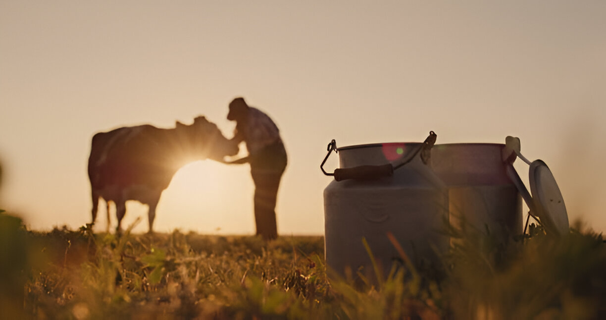 From Ordinary to Extraordinary: Toltrazuril Shops Animal Health Solutions