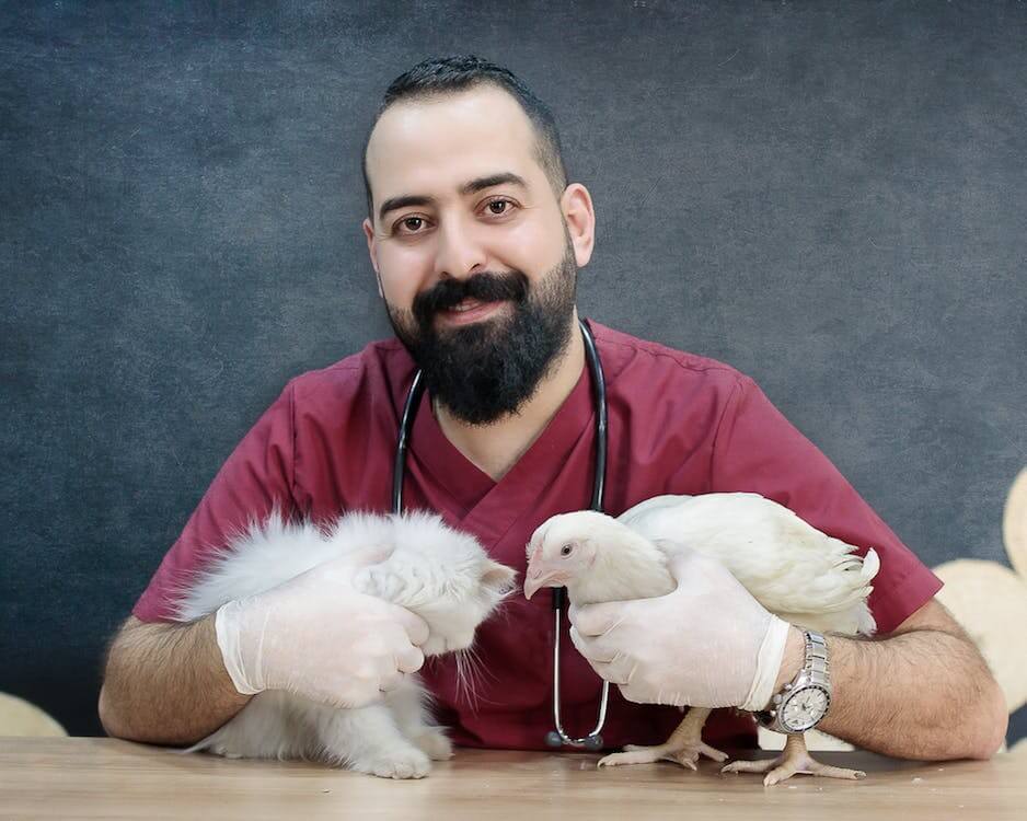 Balancing Safety and Effectiveness In Modern Parasitic Treatments For Animals