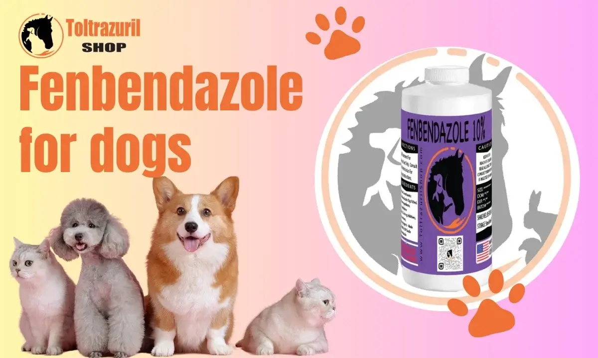 Fenbendazole for Dogs: A Comprehensive Guide