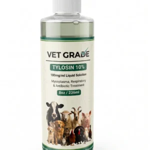 Tylosin 10% - 100mg/mL Liquid Solution - 8oz, Chicken